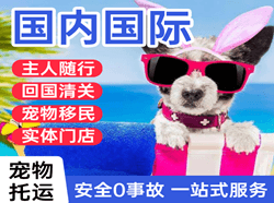 东郊航空快递国际宠物托运 【国